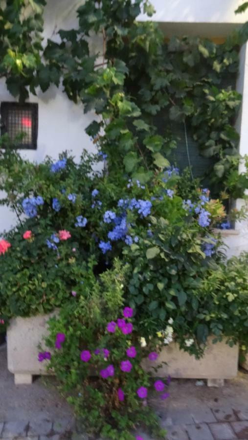 Casa Rural Francisca 레케나 외부 사진